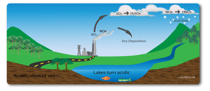 Acid Rain Diagram